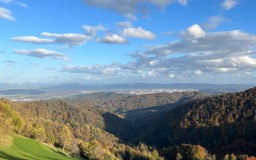 Pogled v svet